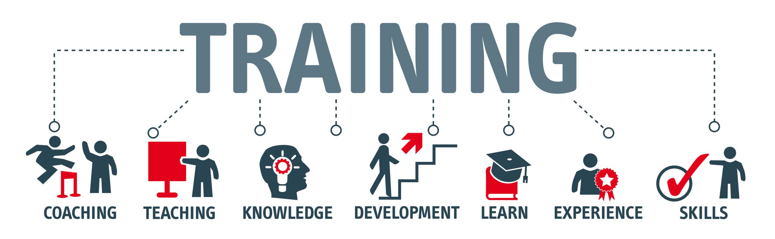 Training Fishbone Training Services Graphic
